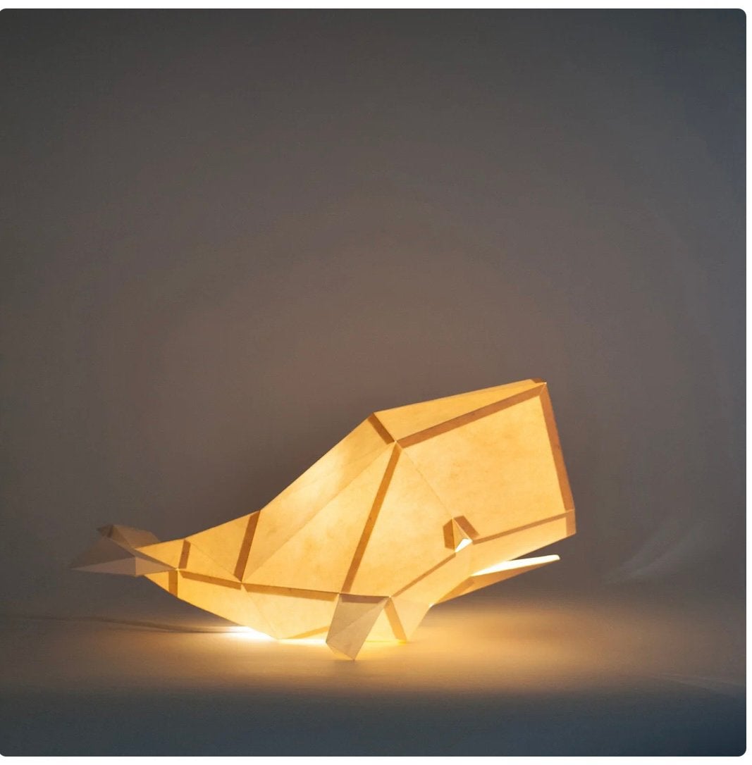 Walvis lamp :), Ophalen of Verzenden, Zo goed als nieuw, Knutselwerk
