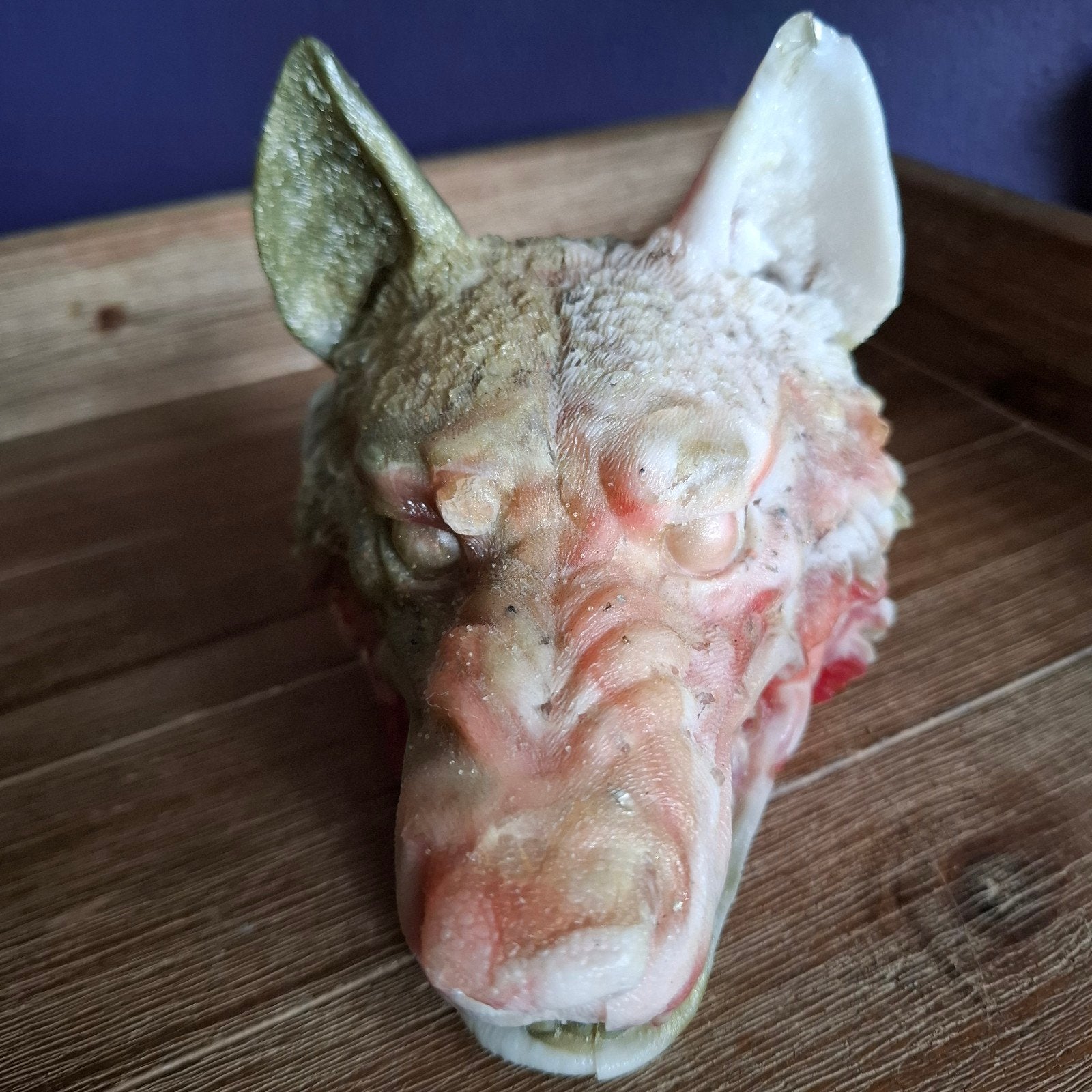 Organiet Wolf Hoofd, Ophalen of Verzenden, Zo goed als nieuw