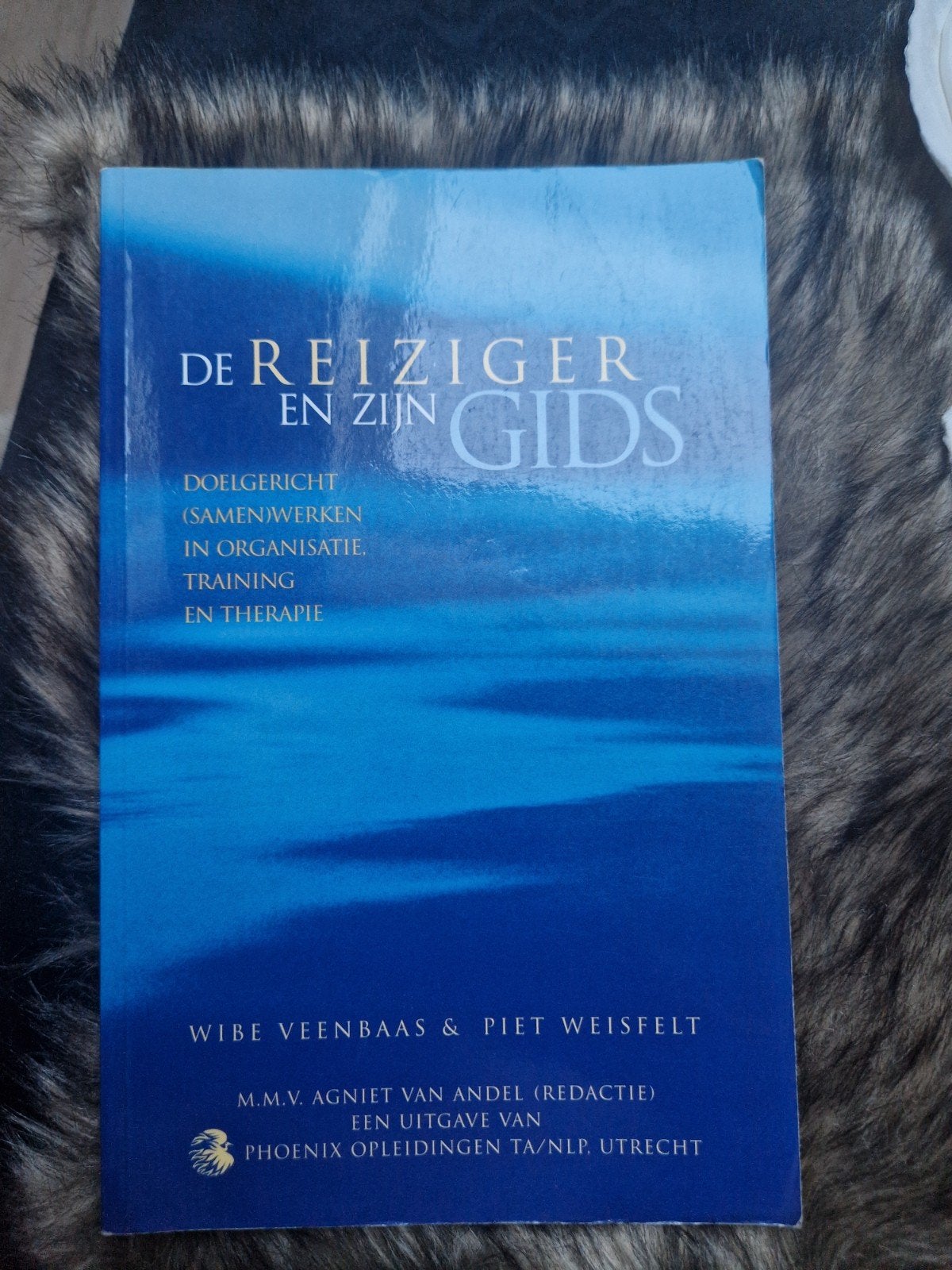 De Reiziger en zijn Gids - Doelgericht werken - 9080050768, Gelezen, Wibe Veenbaas & Piet Weisfelt, Gamma, HBO