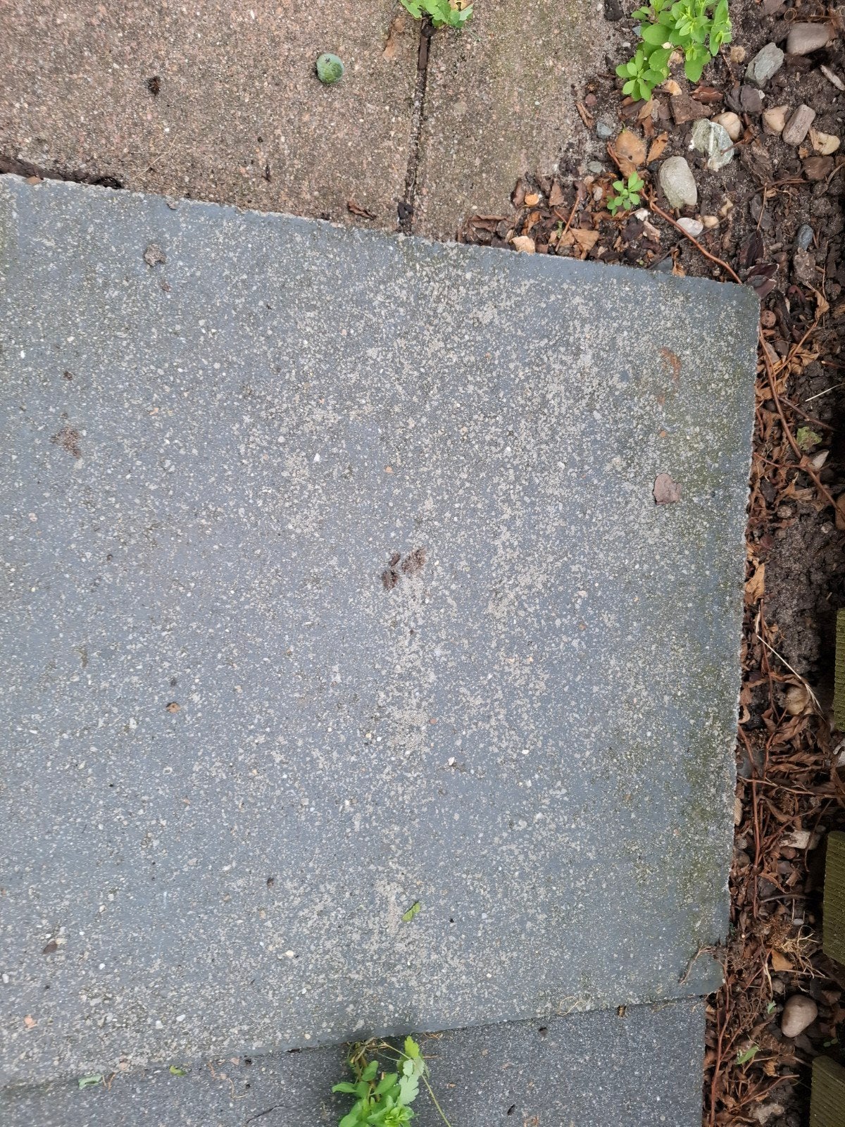 Beton tegels voor tuin of terras, Tuin en Terras, Tegels en Klinkers, Ophalen, Gebruikt, Minder dan 5 m², Beton
