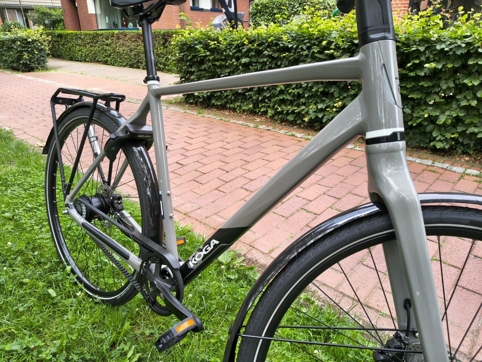 Koga F3 4.0 | Gates riem | Nexus 8 | €350 Korting!, Koga, Nieuw, Ophalen of Verzenden, 57 tot 61 cm