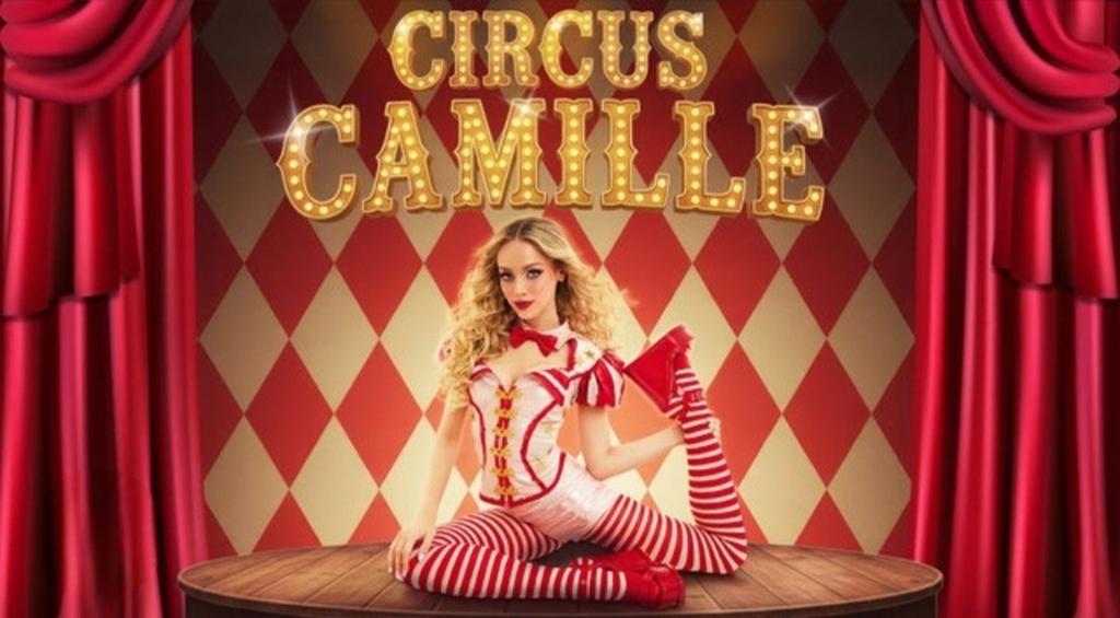 2 x ticket Circus Camille, Eén persoon