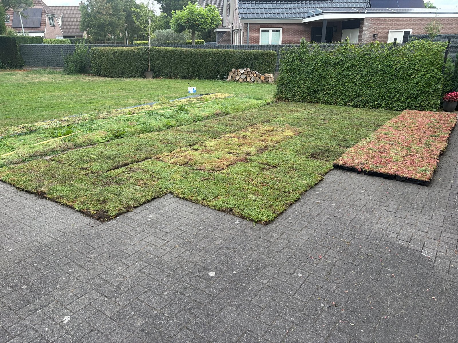 Sedum groendak matten pakket met drainage en substraat, Ophalen of Verzenden, Nieuw