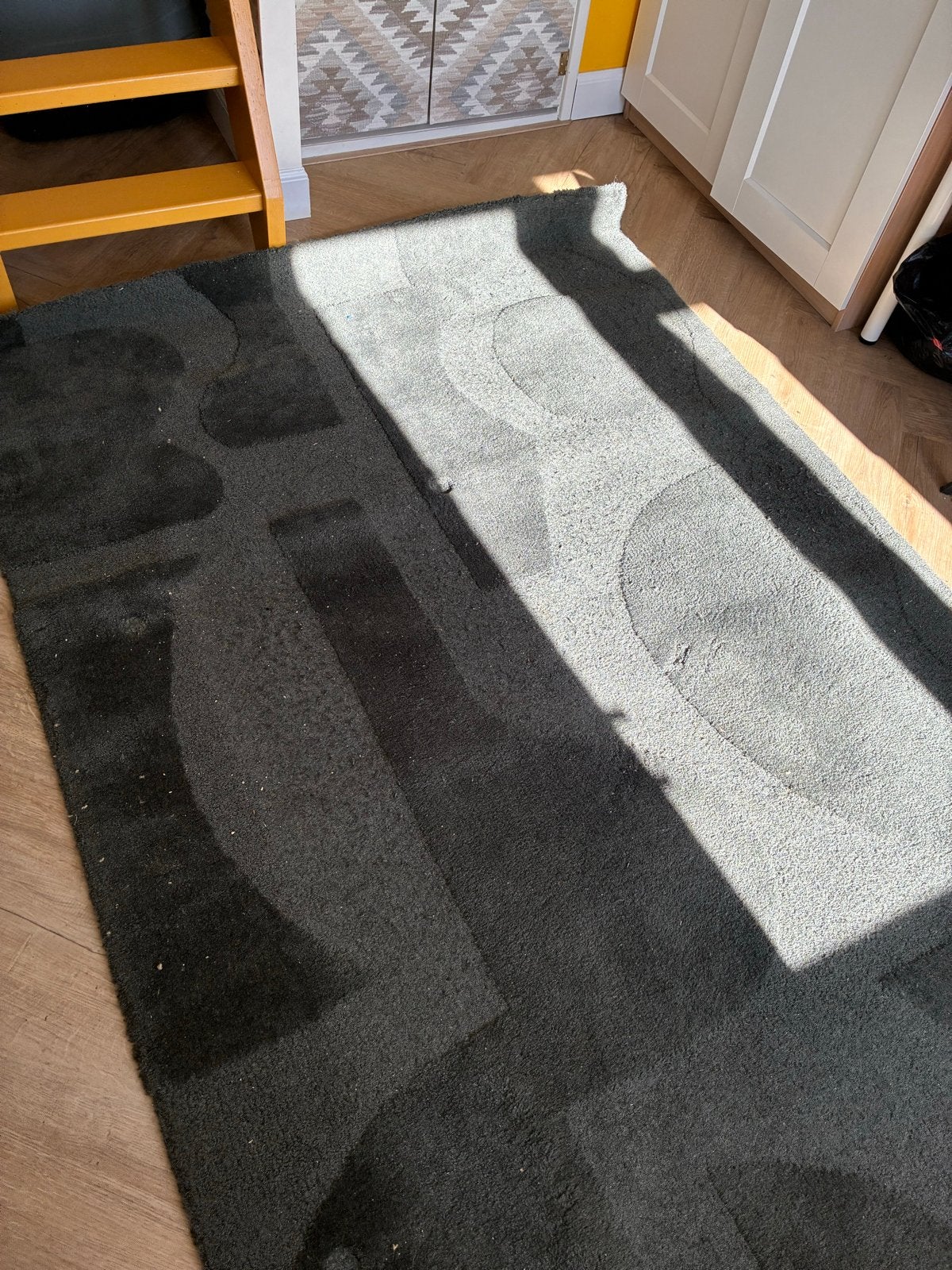 Brink & Campman wollen vloerkleed - Donkergroen, Ophalen, Gebruikt, 150 tot 200 cm, 200 cm of meer