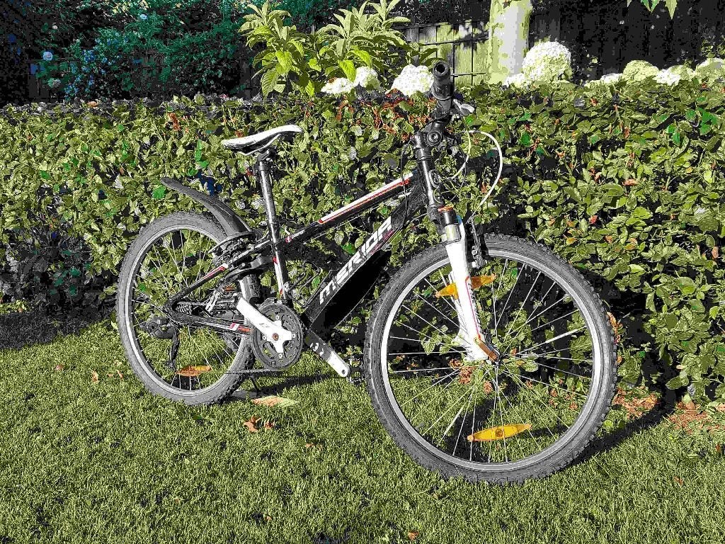 Mountainbike, Merida Daker, 24 inch, Gebruikt, Hardtail, Ophalen, Overige merken