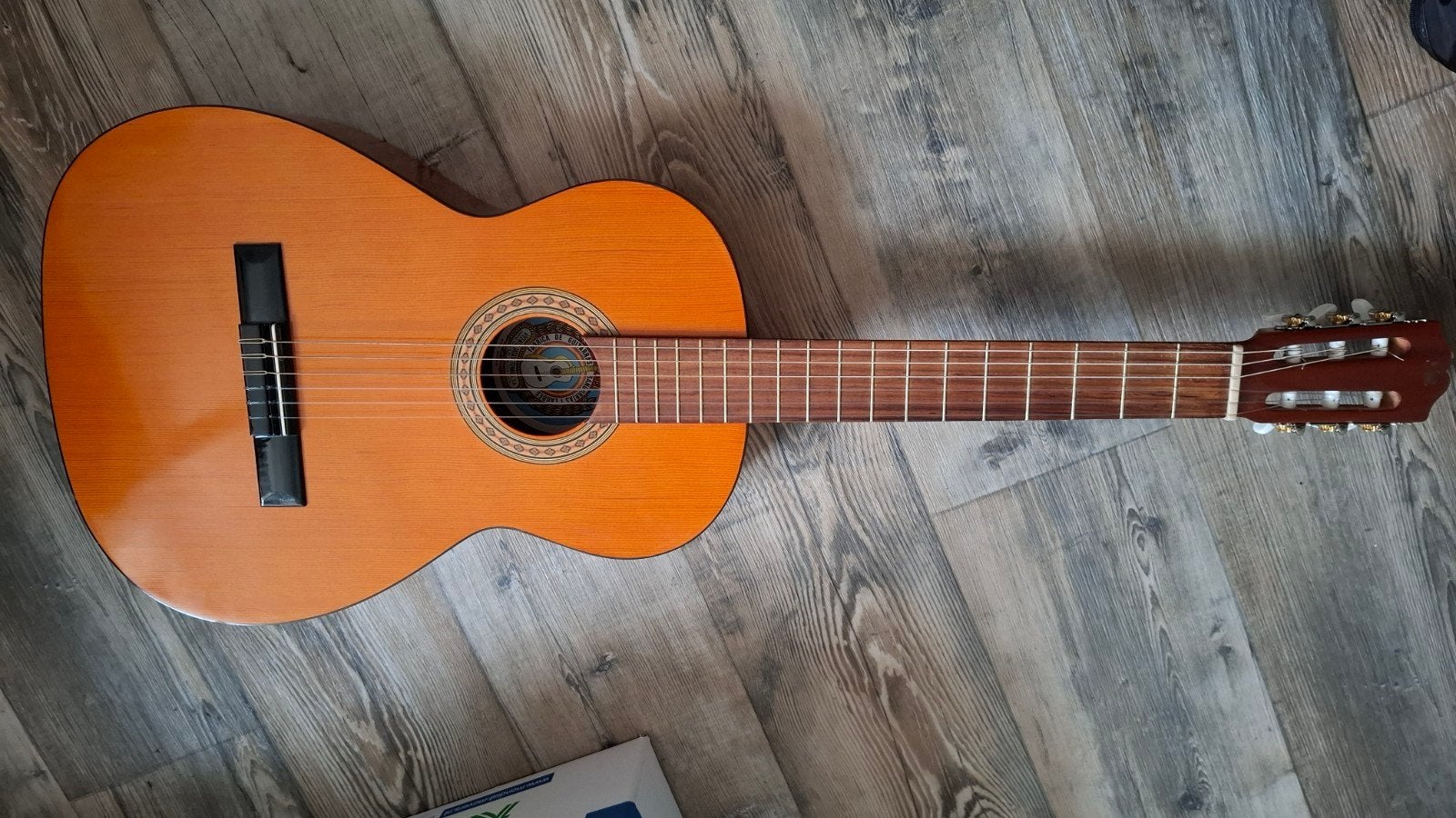Klassieke Spaanse gitaar Vicente Tatay Tomas met hoes, Muziek en Instrumenten, Ophalen of Verzenden, Gebruikt, Klassieke of Spaanse gitaar