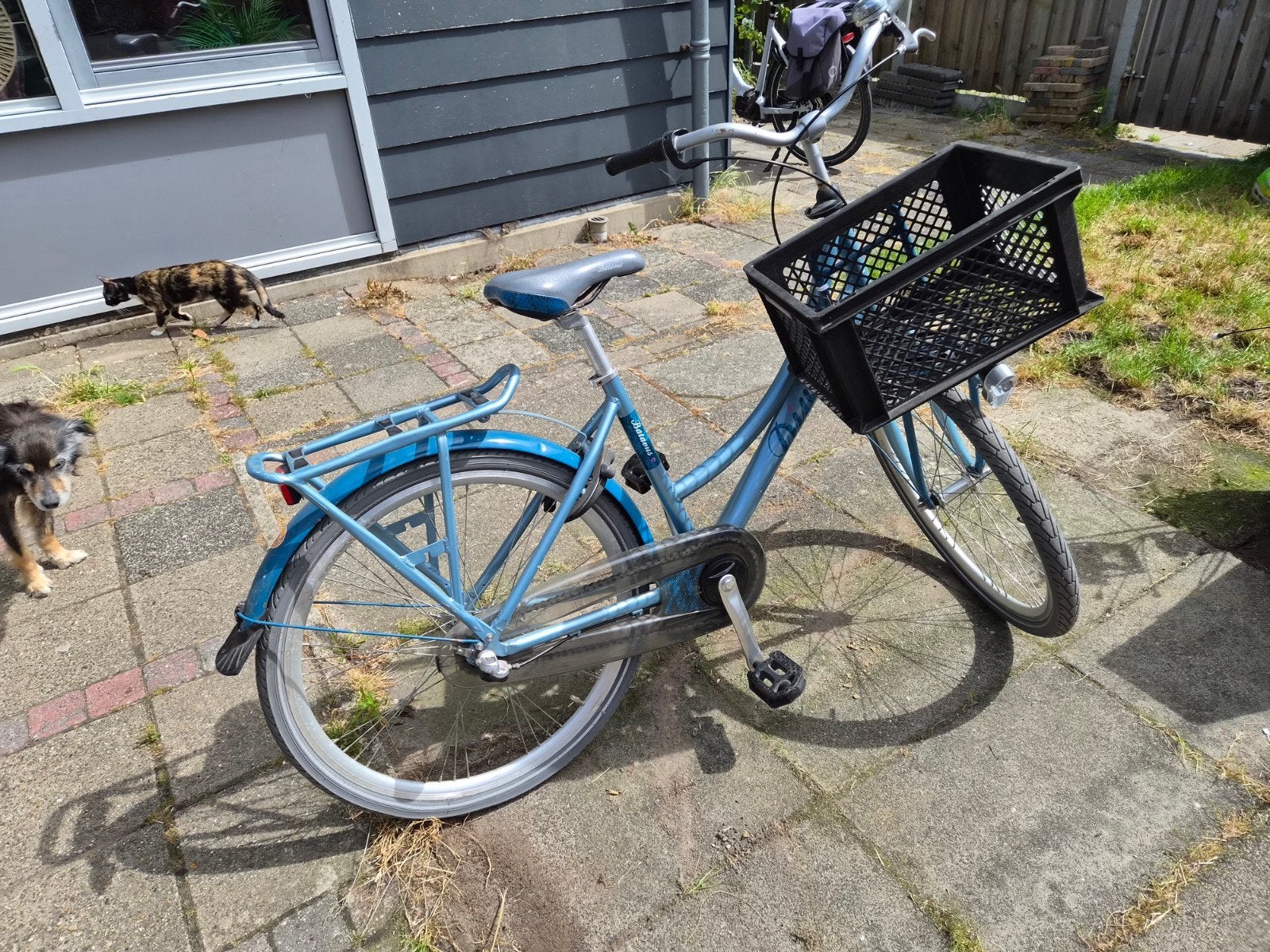 Batavus Diva Meisjesfiets 26 inch - 3 versnellingen, Terugtraprem, Gebruikt, Versnellingen, Batavus Diva
