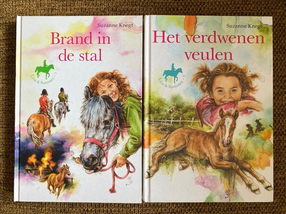 Lisa & Summer boeken: Brand in de stal & Het verdwenen veule, Boeken, Ophalen of Verzenden, Gelezen, Fictie algemeen