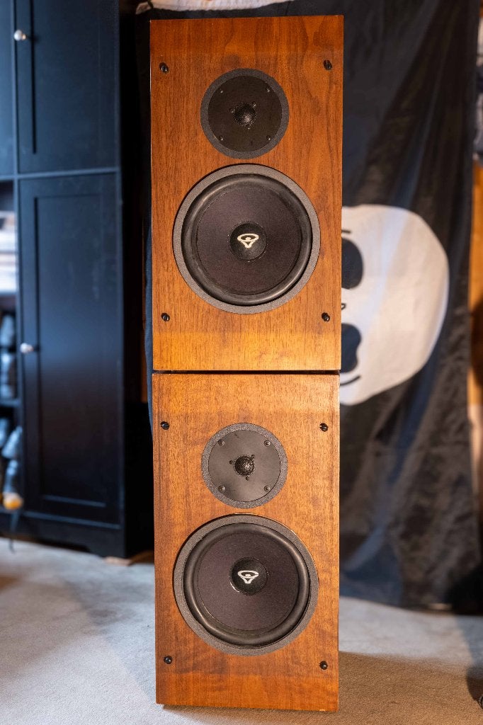 Cerwin Vega R10 speakers, Vloerstaande luidspreker, Gebruikt, Inclusief kabels, 60 tot 120 watt