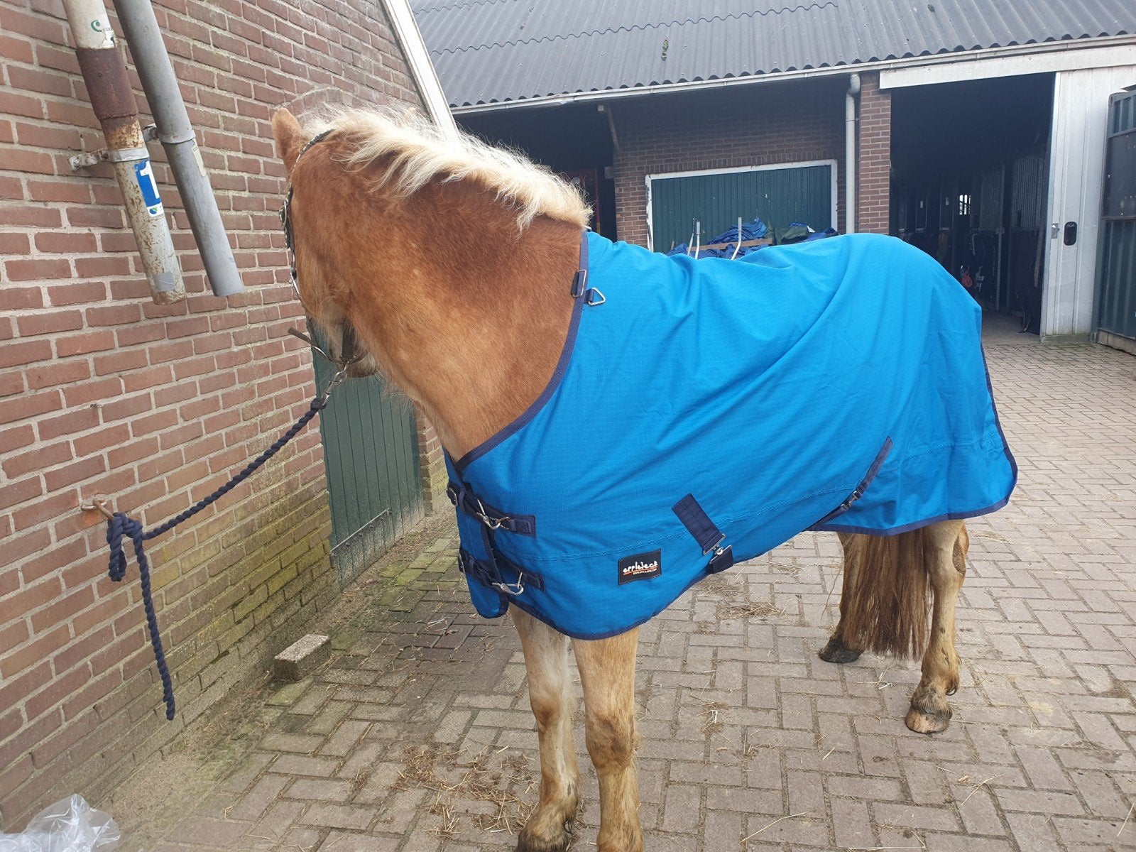 partij dekens voor maar 45 euro!, Dieren en Toebehoren, Ophalen of Verzenden