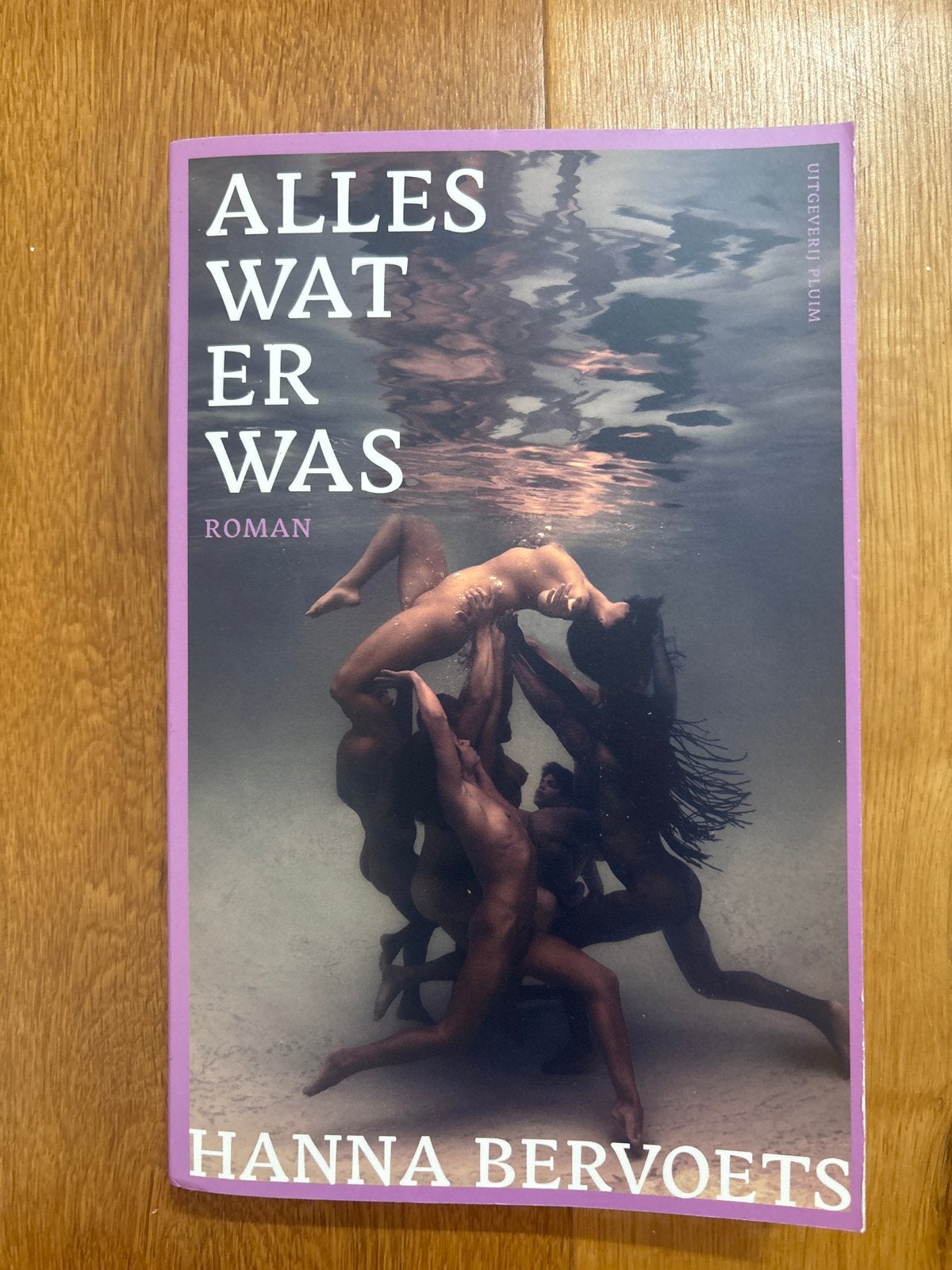 Hanna Bervoets - Alles wat er was, Ophalen of Verzenden, Zo goed als nieuw, Hanna Bervoets