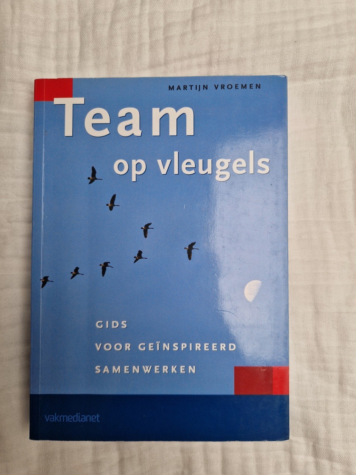 Vroemen - Team op vleugels, Boeken, Ophalen of Verzenden, Zo goed als nieuw, Overige onderwerpen
