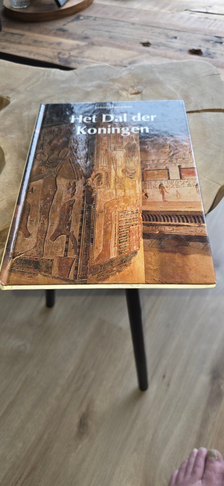 Het Dal der Koningen - Boek over Egyptische geschiedenis, Verzenden, Gelezen, Onbekend, Wereld overig