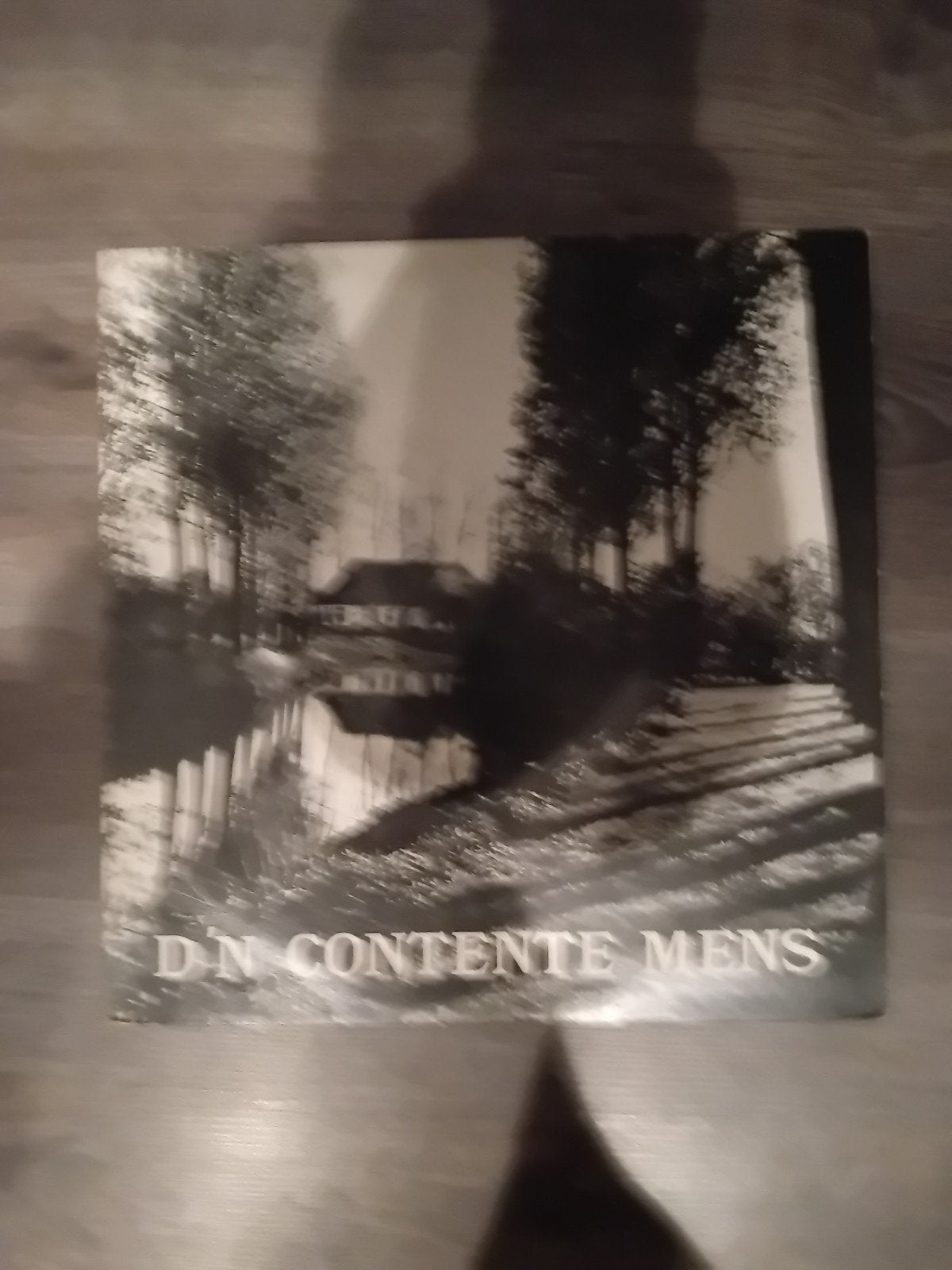 Nol van Roessel - D'n Contente Mens (Vinyl LP), Cd's en Dvd's, Ophalen of Verzenden, Gebruikt
