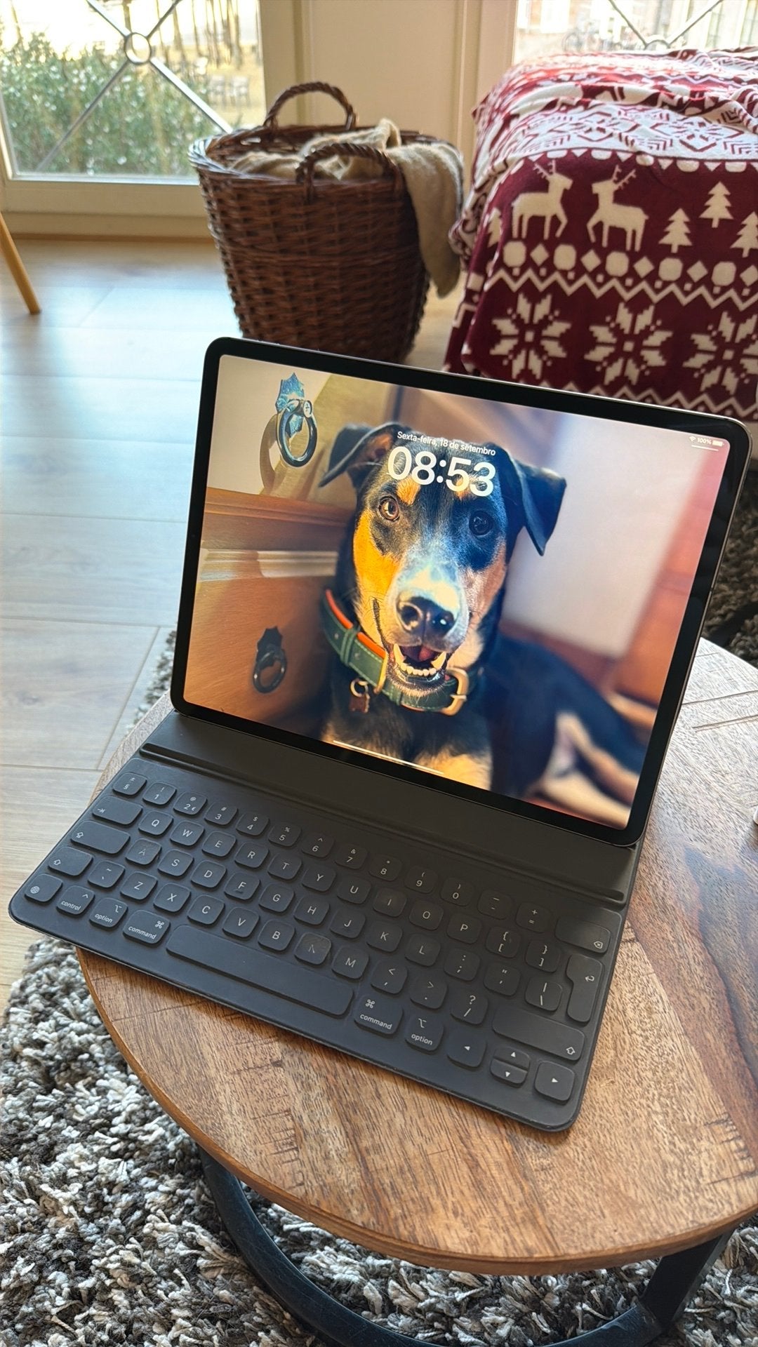 Apple Ipad Pro 12,9 (3e generatie) - goede conditie, Computers en Software, Ophalen, Apple iPad, 12 inch, Zo goed als nieuw