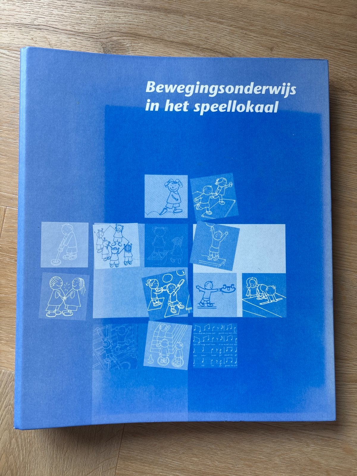 Bewegingsonderwijs in het speellokaal, Boeken, Ophalen of Verzenden, Zo goed als nieuw, Overige niveaus, Overige vakken