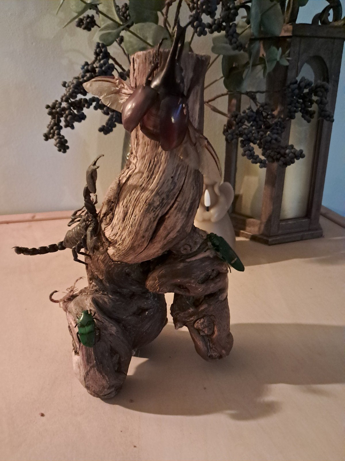 Decoratieve boomstam met opgezette insecten, Ophalen