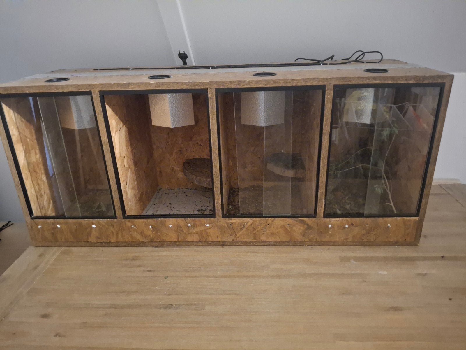 120x40x50 osb3 4 vaks/straat terrarium, Ophalen