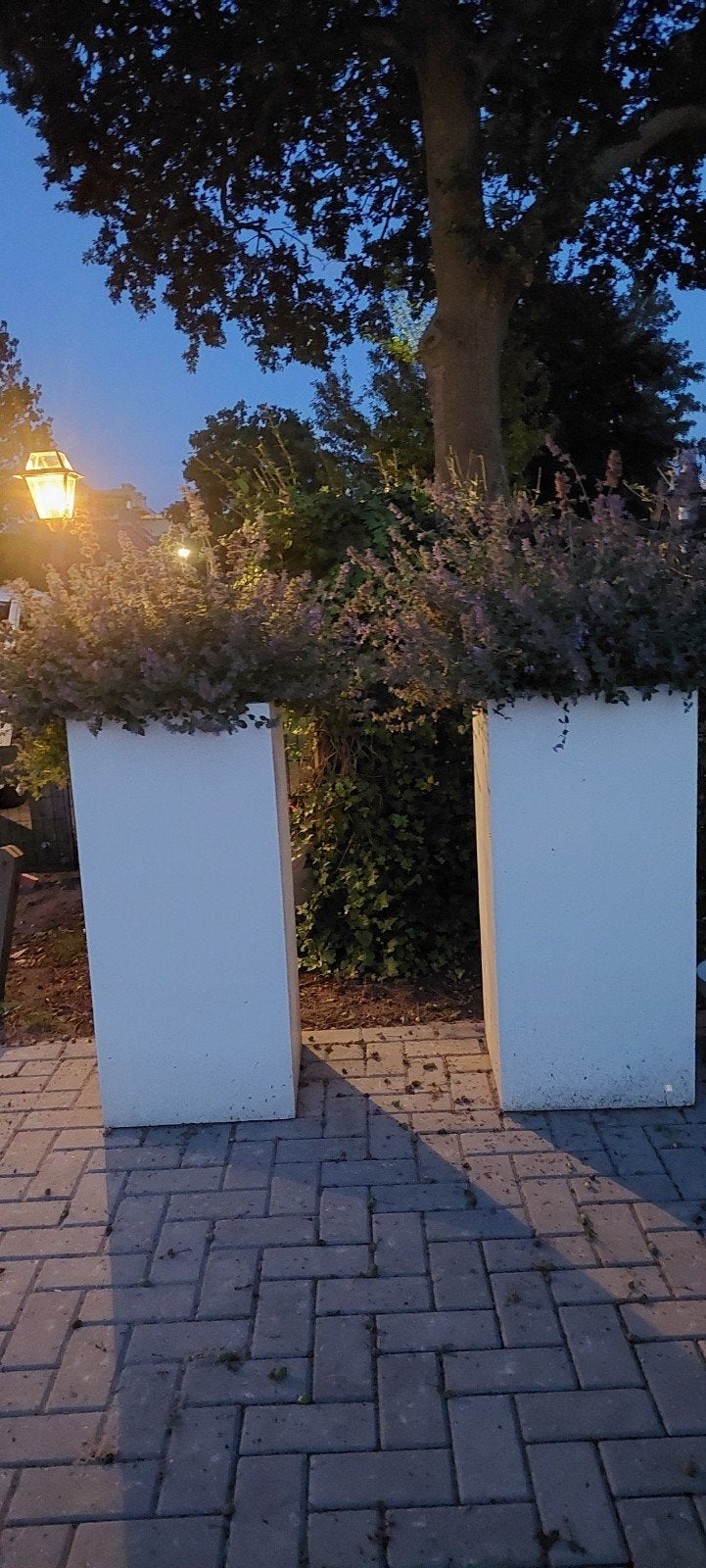 2 Grote Witte Bloempotten voor Buiten - 100x45 cm, Gebruikt, Minder dan 60 cm, Ophalen of Verzenden, Balkon