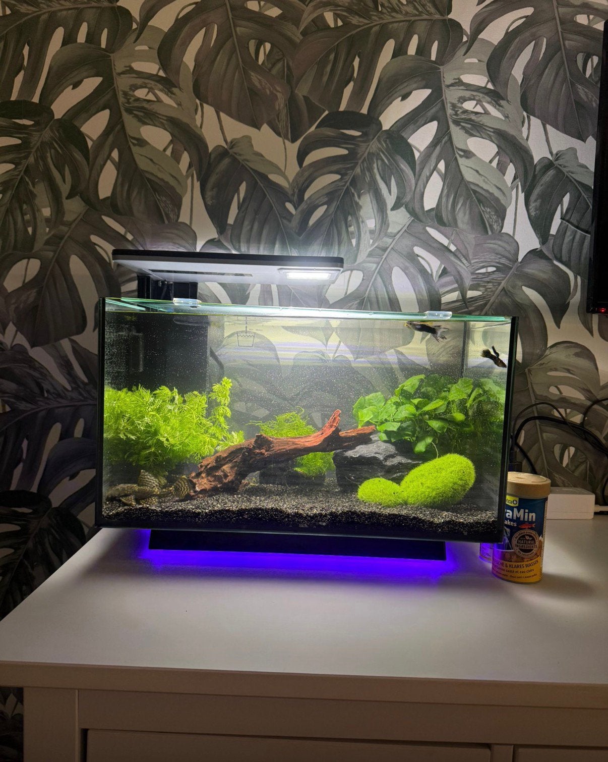 Superfish Aquarium Quadro 40 Pro zwart, Ophalen, Zo goed als nieuw, Leeg aquarium