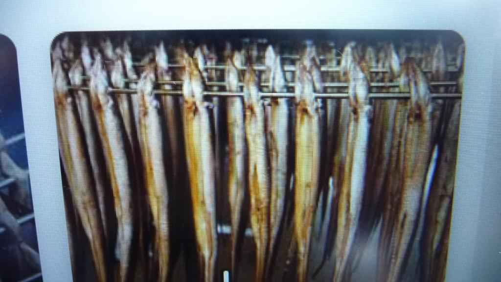 palingspeten voor rookton  barbecue, Ophalen of Verzenden, Zo goed als nieuw
