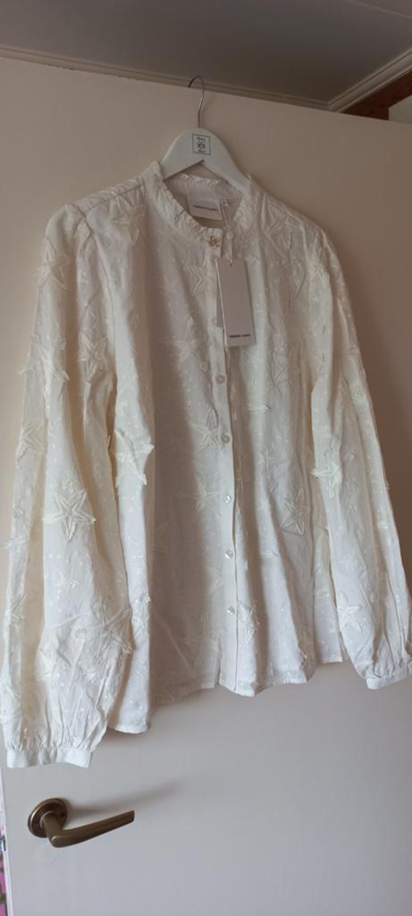 Te koop: Fabienne Chapot blouse maat 44, nw met kaartje!!, Overige kleuren, Maat 42/44 (L), Nieuw, Ophalen of Verzenden
