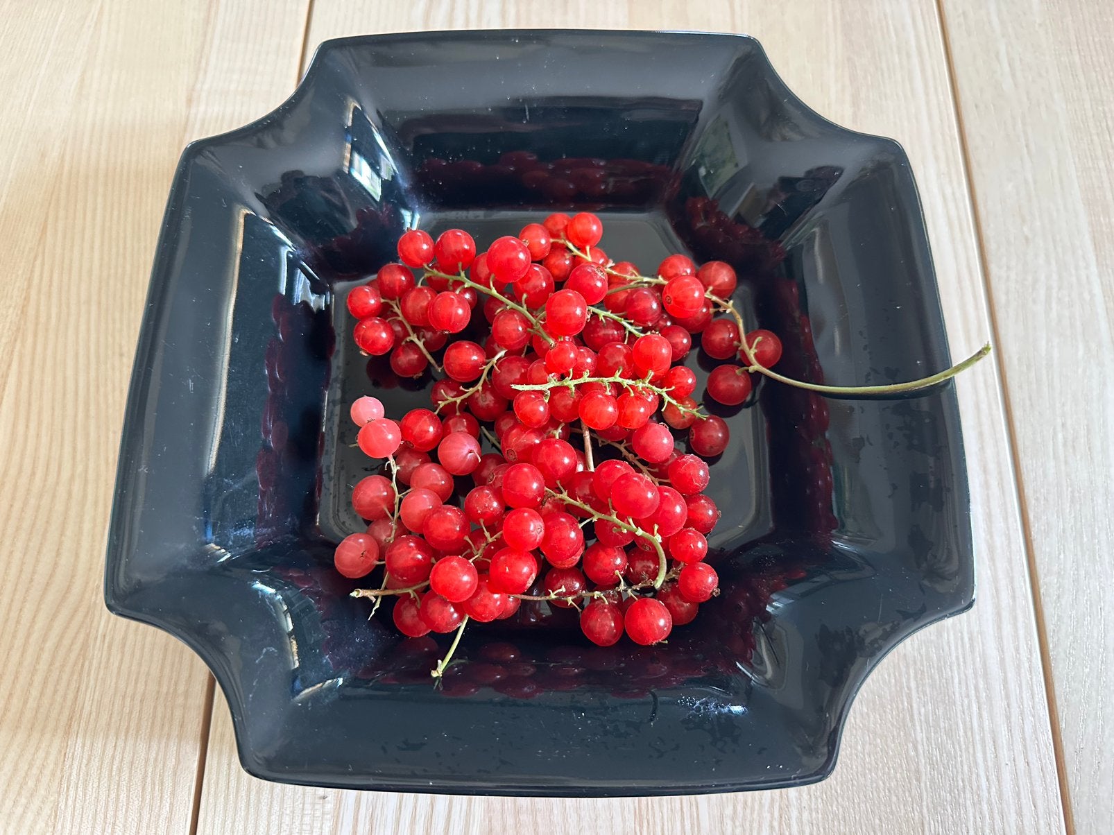 Fruittest Delfts aardewerk jaren 80-90 Kleur zwart., Ophalen of Verzenden, Effen, Aardewerk, Schaal of Schalen