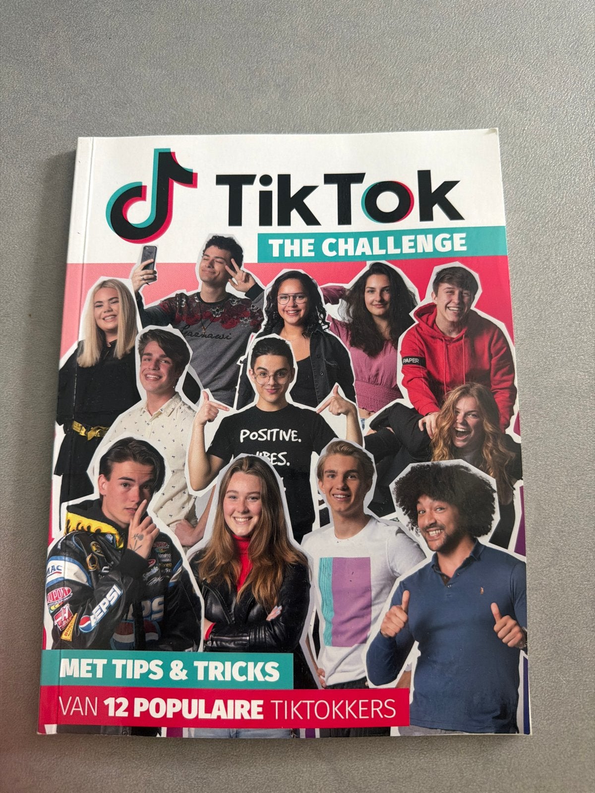 TikTok The Challenge: Tips & Tricks van populaire TikTokkers, Ophalen of Verzenden, Zo goed als nieuw, Nederland
