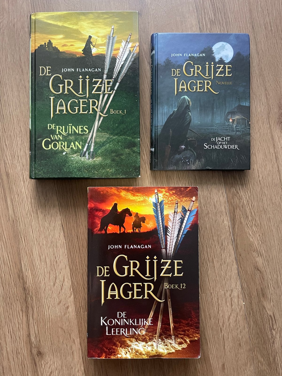 De Grijze Jager: Boek 1, Boek 12 & Novelle - John Flanagan, Boeken, Ophalen of Verzenden, Gelezen