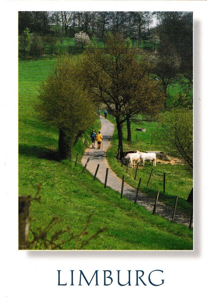 Limburg             199, Ophalen of Verzenden, Voor 1920, Limburg