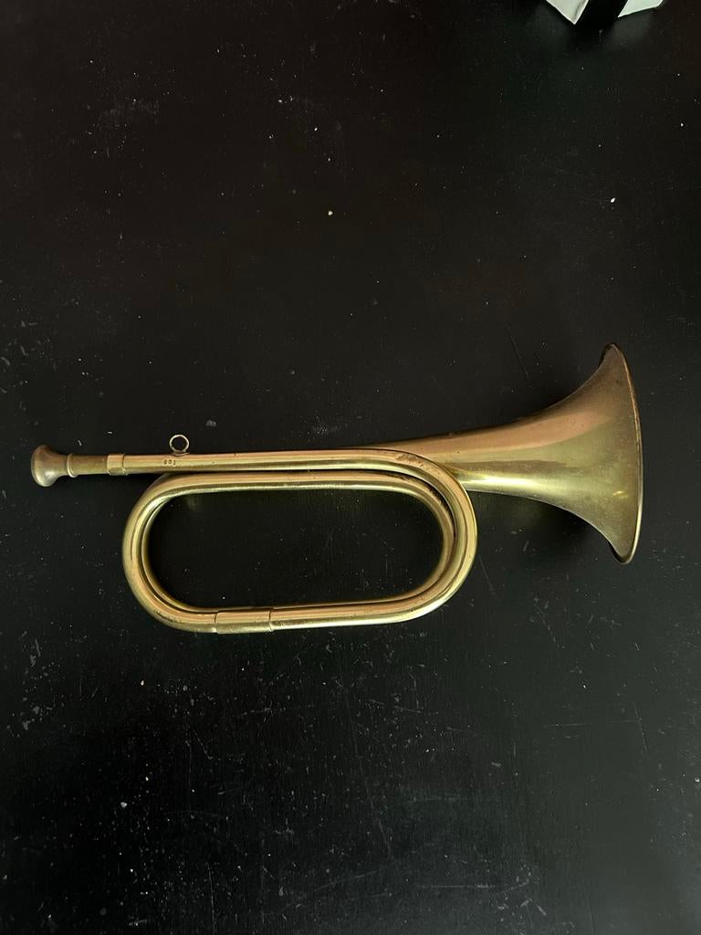 Antieke Parrot trompet - Decoratief messing instrument, Ophalen of Verzenden, Gebruikt, Overige typen