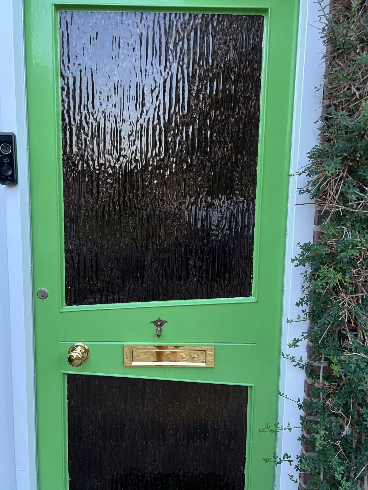 Groene buitendeur met glaspanelen, Ophalen, Gebruikt, 80 tot 100 cm, Buitendeur