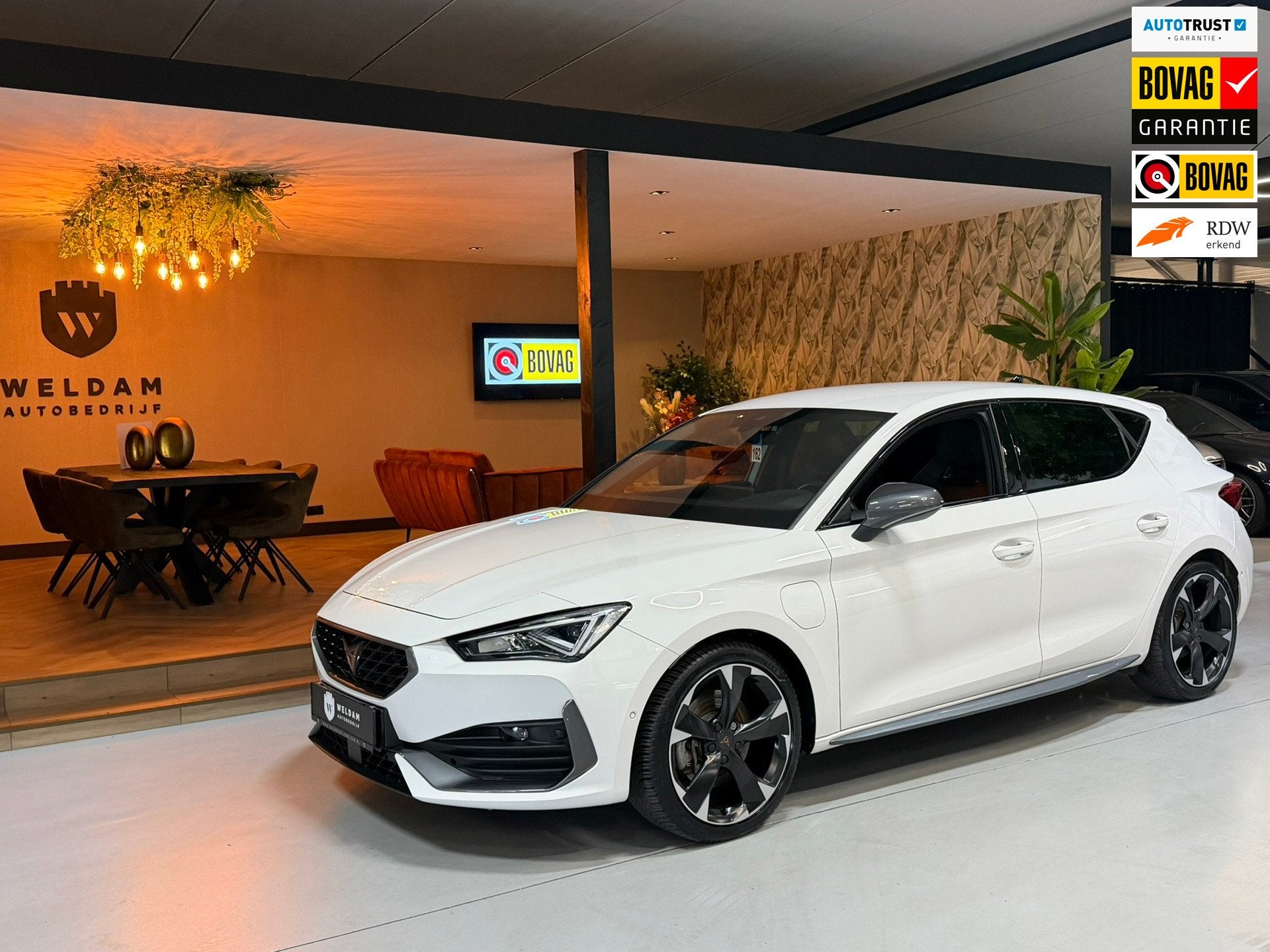 Cupra Leon 1.4 e-Hybrid Sport SOH 99.5%|Garantie|CarPlay|ACC, Auto's, Dealer onderhouden, Gebruikt, 4 cilinders, Leon