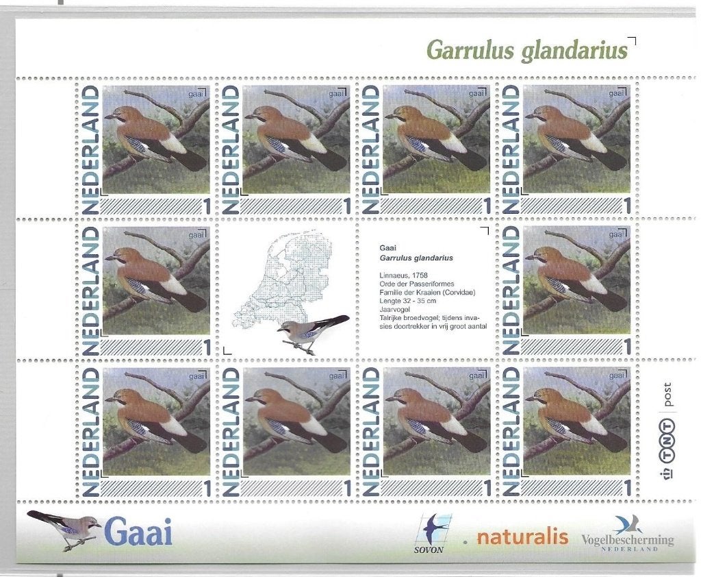 Vel persoonlijke zegels, vogels Gaai postfris, Ophalen of Verzenden, Postfris