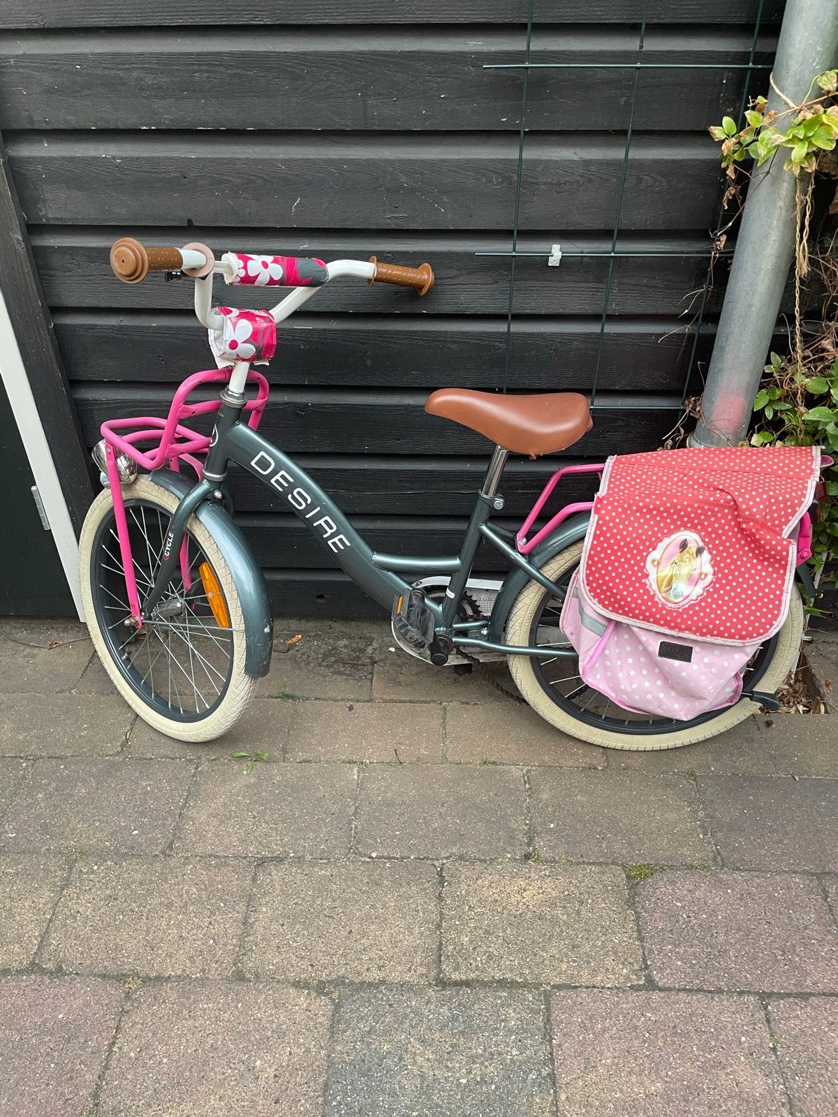 Kinderfiets 20 inch - Desire met mandje en fietstassen, Fietsen en Brommers, Ophalen, Gebruikt, Velgrem, 20 inch of meer