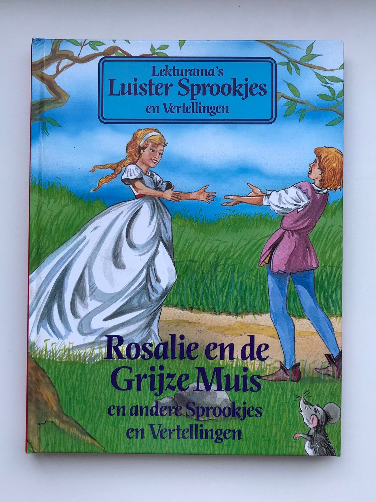 Luistersprookjes Rosalie en de grijze muis (boek), Ophalen of Verzenden, Zo goed als nieuw