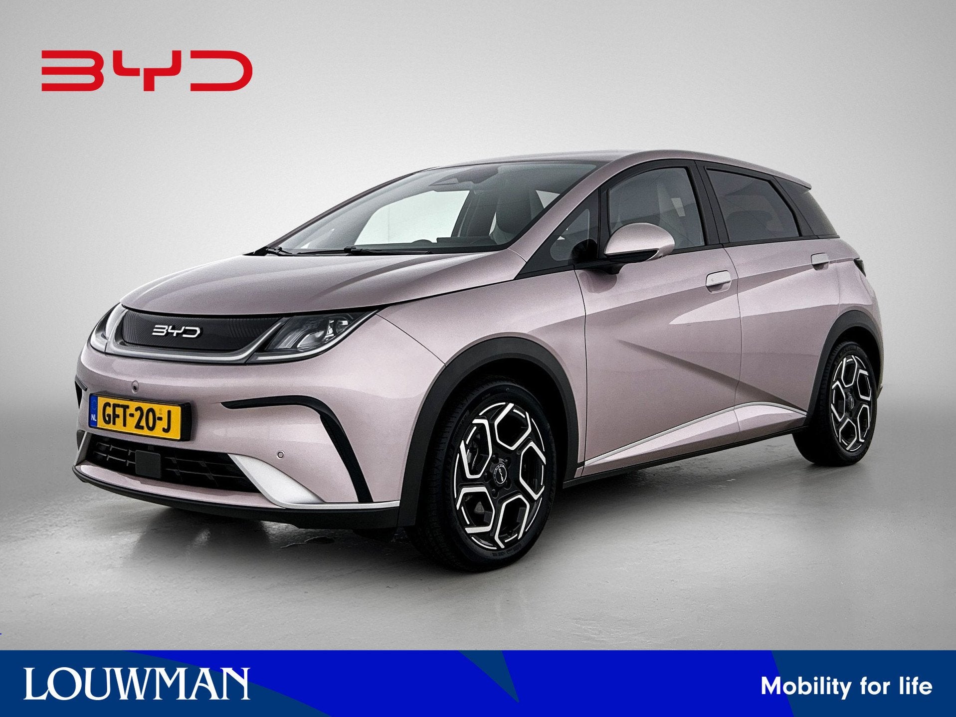 BYD Dolphin Comfort 60.4 kWh | Origineel NL! (bj 2024)