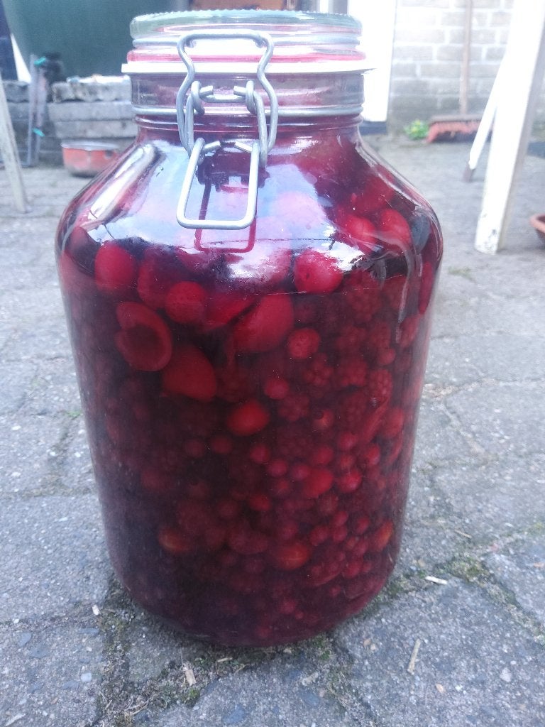 weckpot of inmaakpot grootste maat, Ophalen, Pot, Bus of Blik, Vaatwasserbestendig, Overige merken