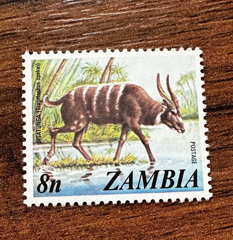 Zambia 1975 Dieren Postfris - Sitatunga Antilope, Ophalen of Verzenden, Zambia, Postfris