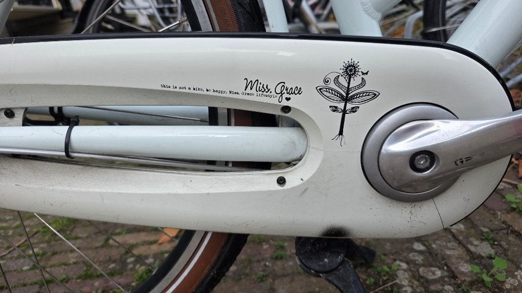 Foto 11 van Gazelle Miss Grace. 54 Frame, 3 Speed, Excellent Condition
