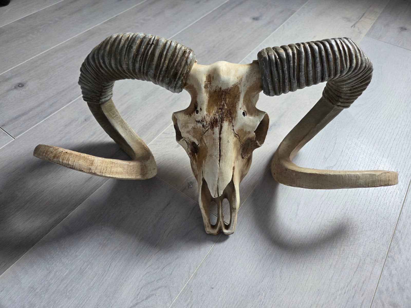 PTMD schedel, 30 cm, Decoratieobject, Ophalen of Verzenden, Zo goed als nieuw