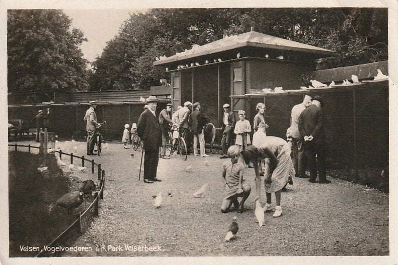 Velsen Park Velserbeek vogelvoederen vogels  1946, Ophalen of Verzenden, 1940 tot 1960, Gelopen, Noord-Holland