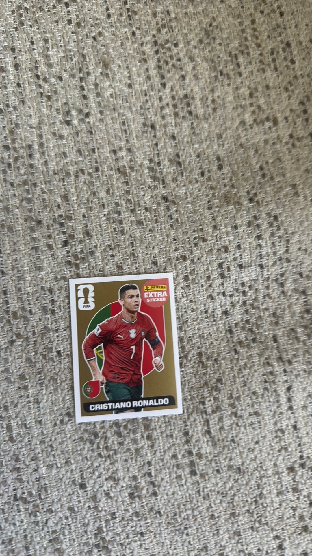Panini sticker, Ophalen of Verzenden, Zo goed als nieuw