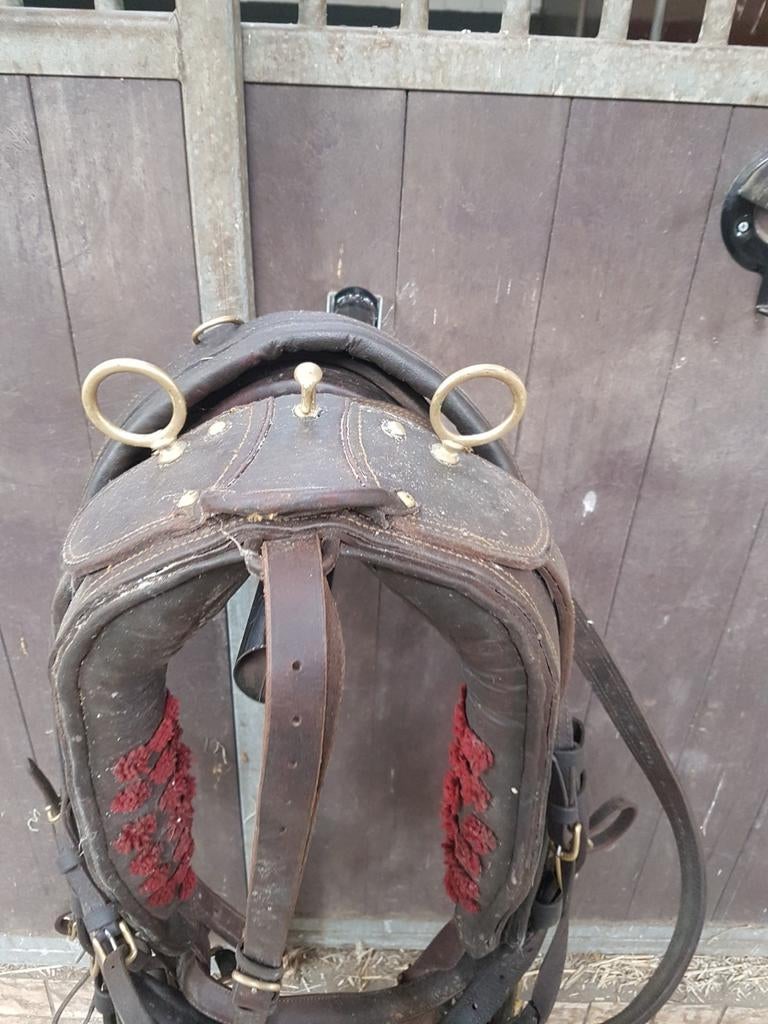 Antiek tuig ook voor decoratie, Dieren en Toebehoren, Paarden en Pony's | Hoofdstellen en Tuigage, Ophalen of Verzenden