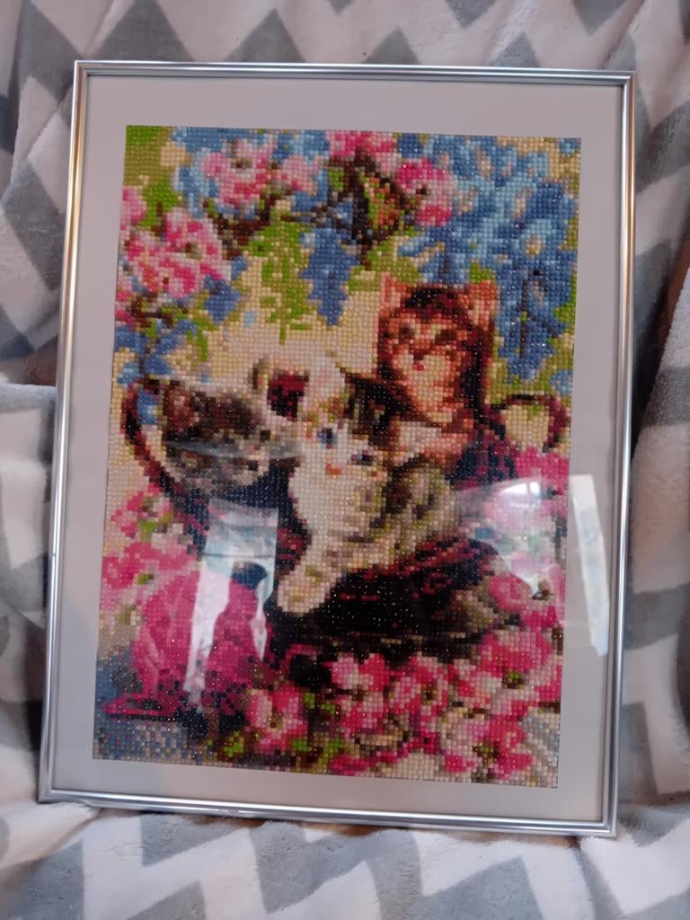 Diamond painting schilderij poesjes, Ophalen of Verzenden, Nieuw, Knutselwerk