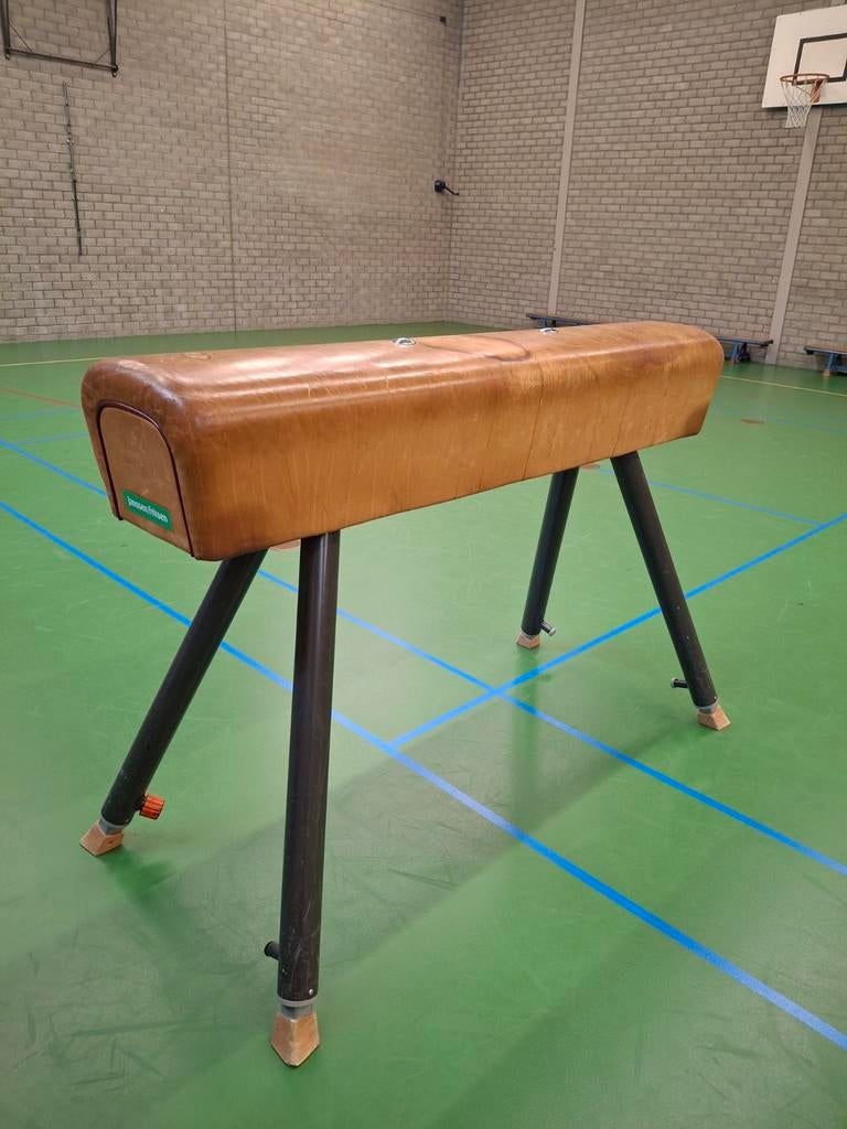 Vintage Turnpaard - Decoratief en Functioneel, Sport en Fitness, Ophalen