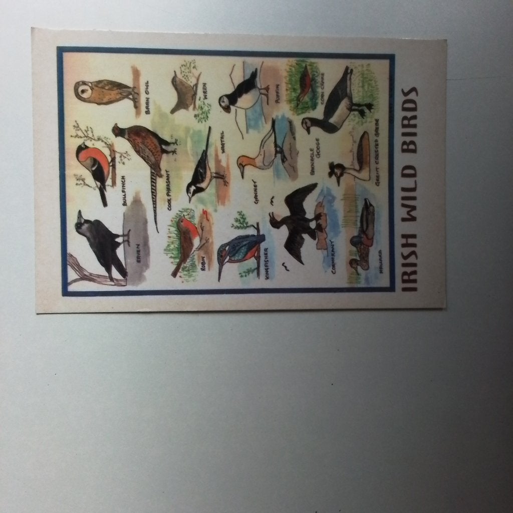 Irish wild birds, Ophalen of Verzenden, 1960 tot 1980, Ongelopen, Vogel