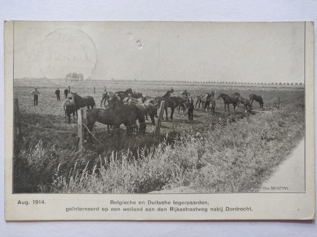 X1062 Dordt 1914 naar Zalk, Verzamelen, Ansichtkaarten | Nederland, Ophalen of Verzenden, Voor 1920, Noord-Holland