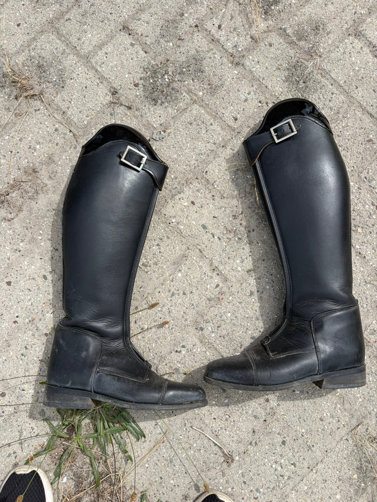 Lipica dressuurlaarzen, Dieren en Toebehoren, Ophalen of Verzenden, Zo goed als nieuw, Dressuur, Schoeisel