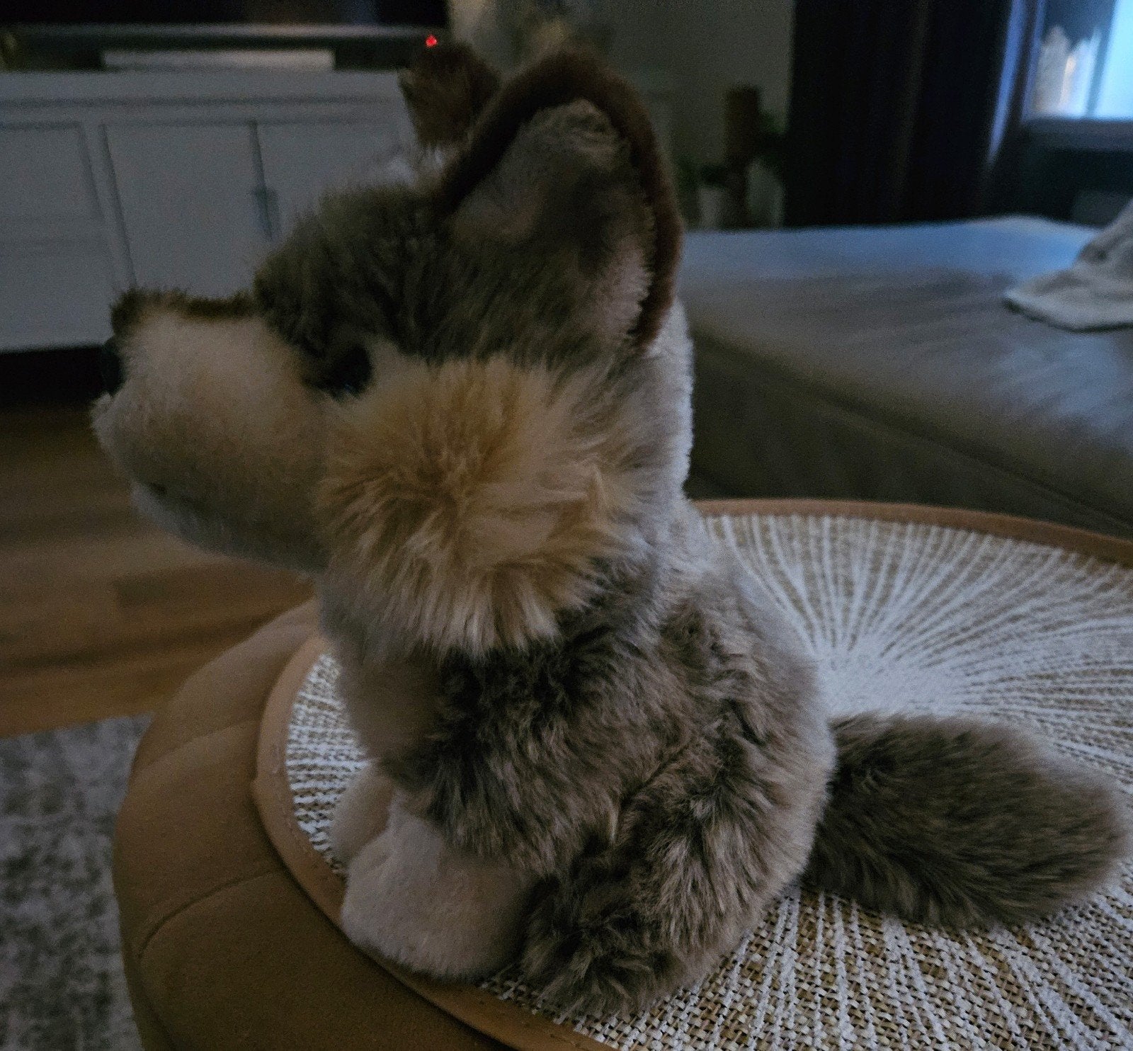 Wolf knuffel Beekse Bergen, Ophalen of Verzenden, Zo goed als nieuw, Overige typen